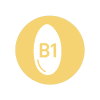 B1-icon