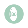 b6-icon