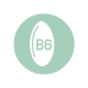 b6-icon