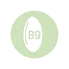 b9-icon
