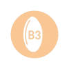icon-b3