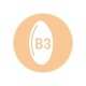 icon-b3
